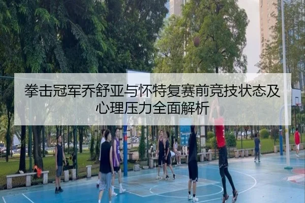 拳击冠军乔舒亚与怀特复赛前竞技状态及心理压力全面解析 | YABO